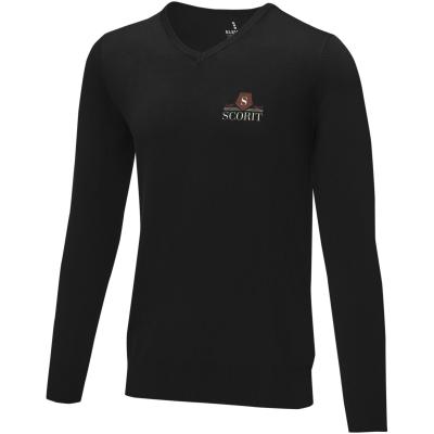 Image of Stanton men's v-neck pullover